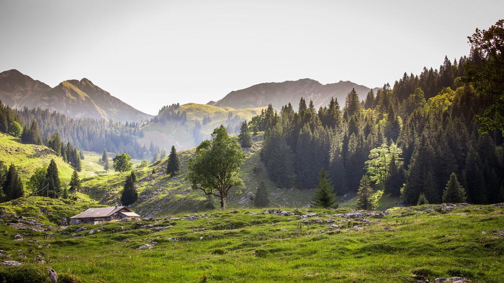 Hostellerie Am Schwarzsee Bad-Schwarzsee Екстериор снимка