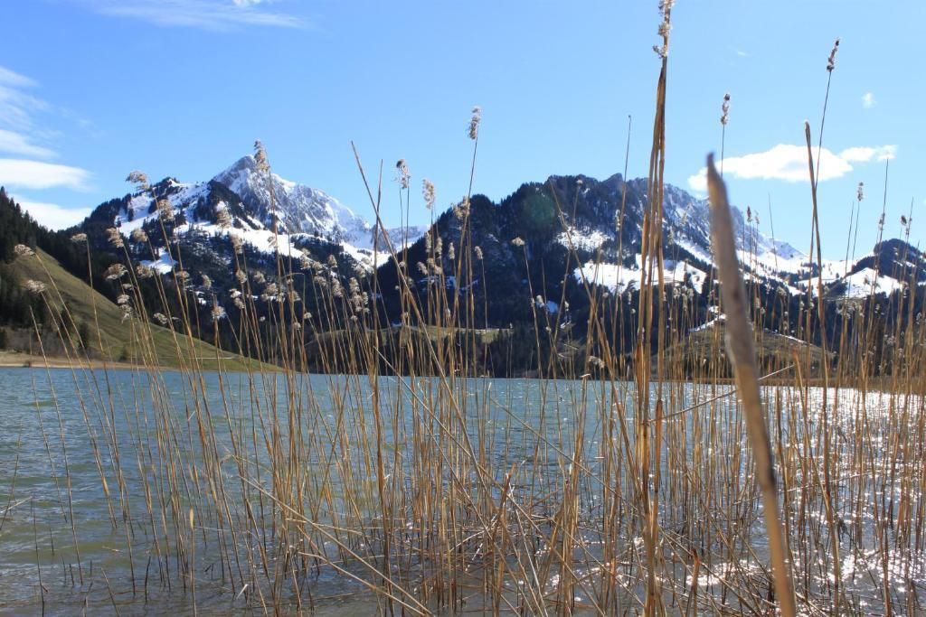 Hostellerie Am Schwarzsee Bad-Schwarzsee Екстериор снимка